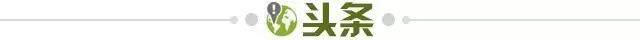 kaiyun-【早报】中国代表团一日揽下4金！见证马龙传奇诞生！